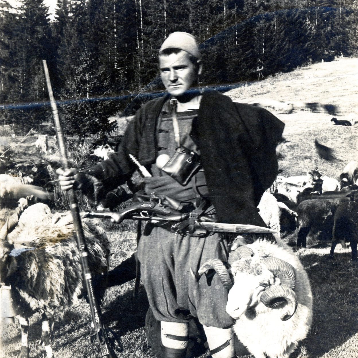 Shepherd with a weapon in front of a flock of sheep.