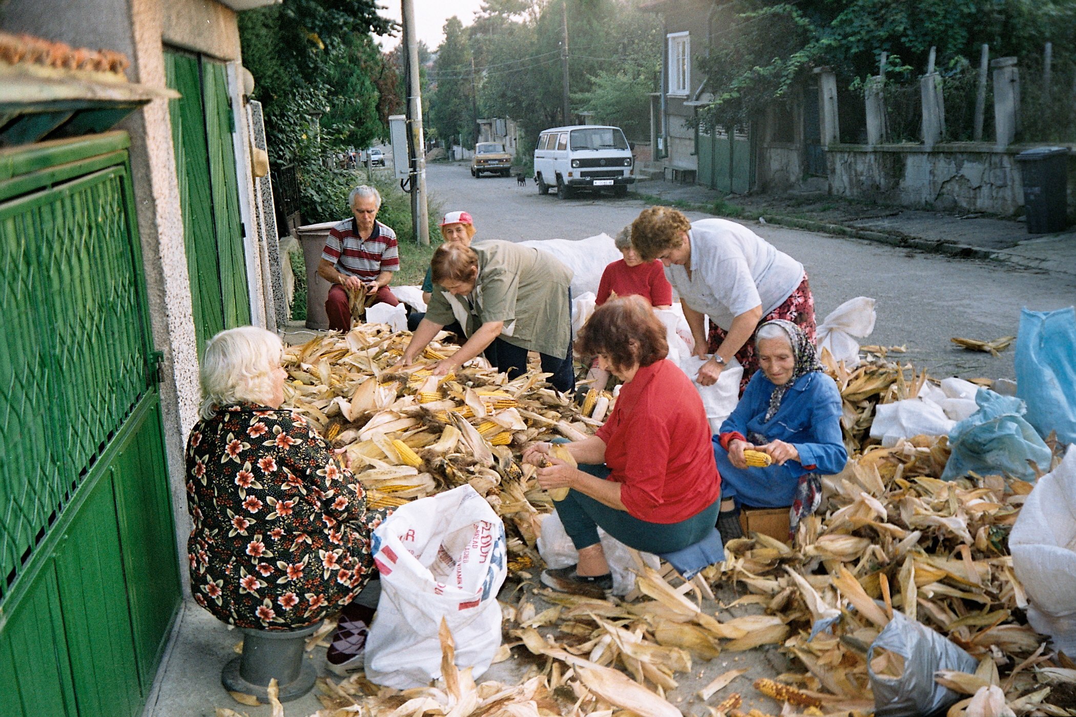 Беленка в гр. Лом