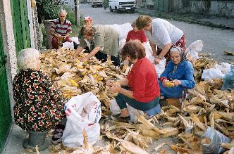 Беленка в гр. Лом