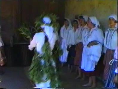 Пеперуда от с. Ряхово, обл. Русе